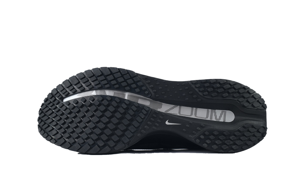 Air Zoom Pegasus Premium Black Metallic Silver HQ2592-005