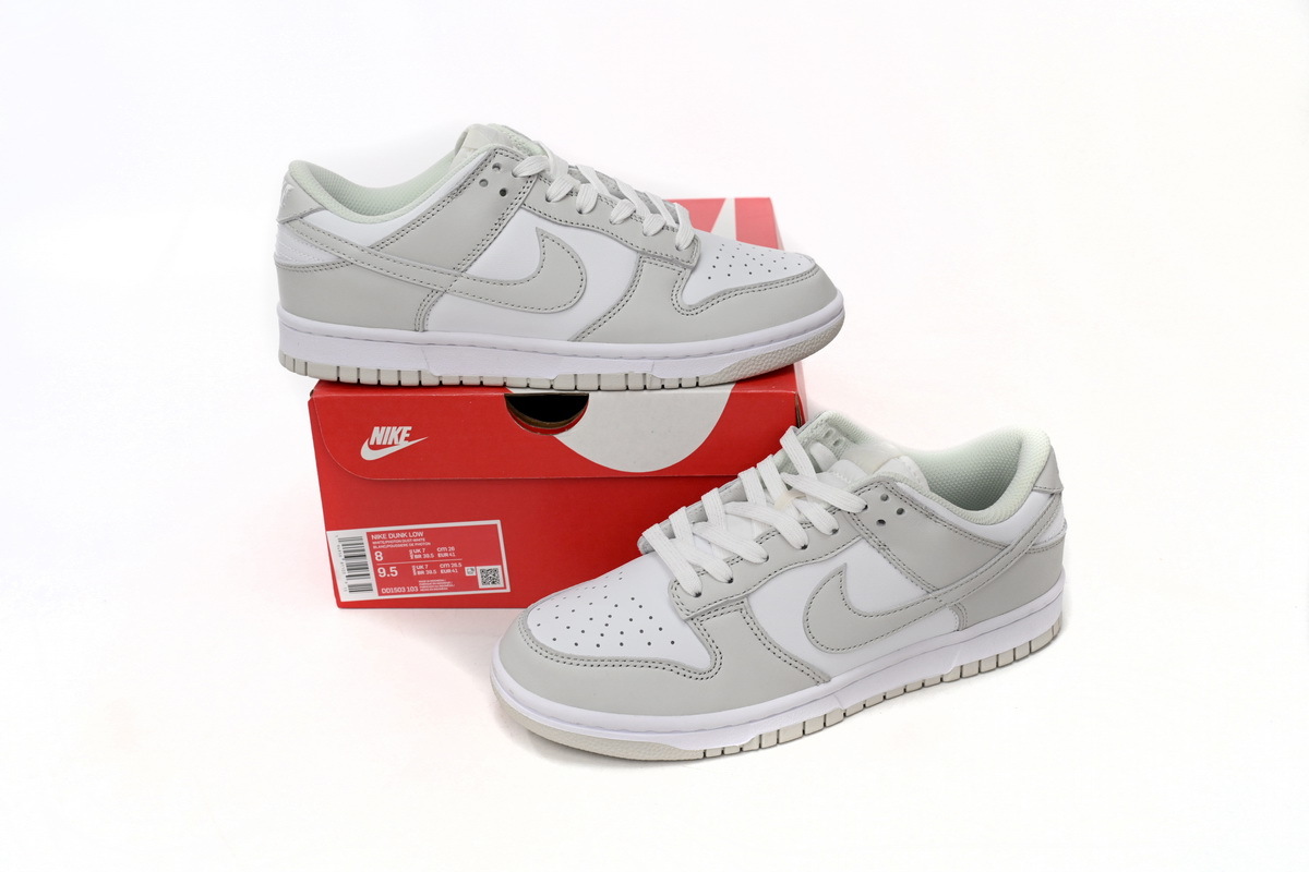 Nike Dunk Low Photon Dust DD1503-103