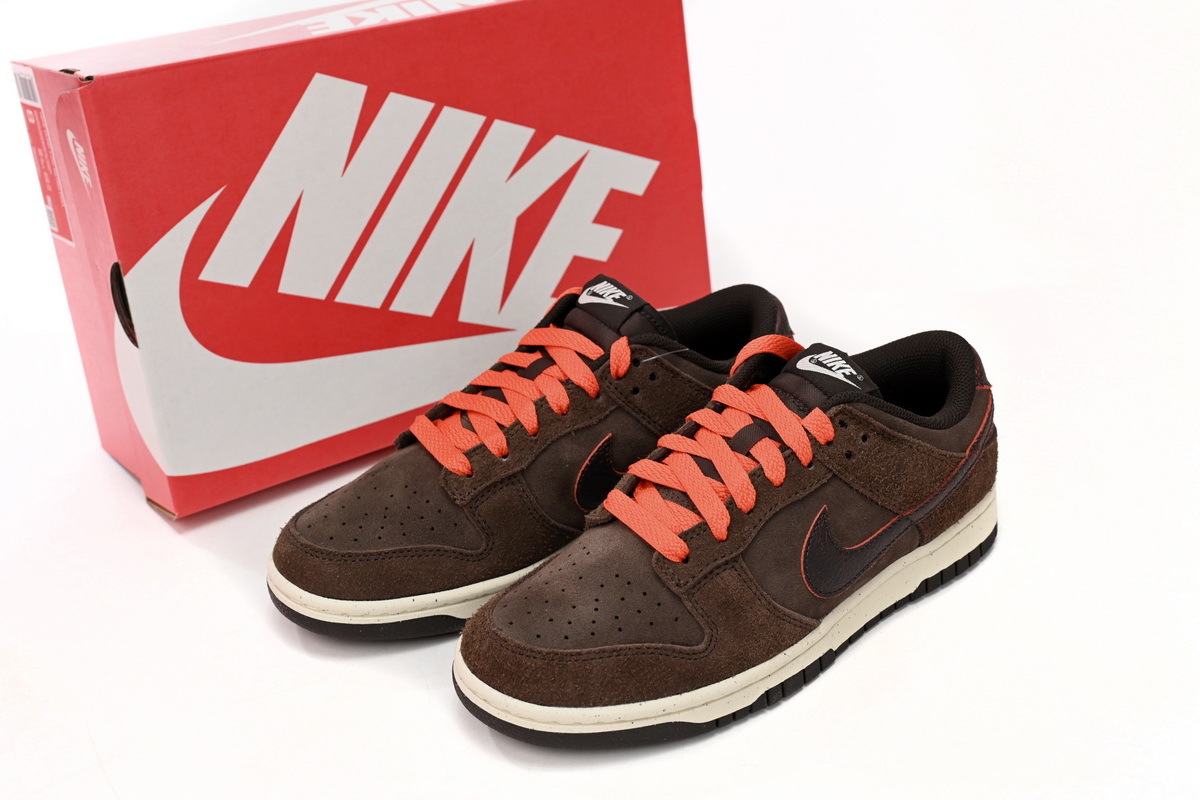 Nike Dunk Low Baroque Brown DQ8801-200