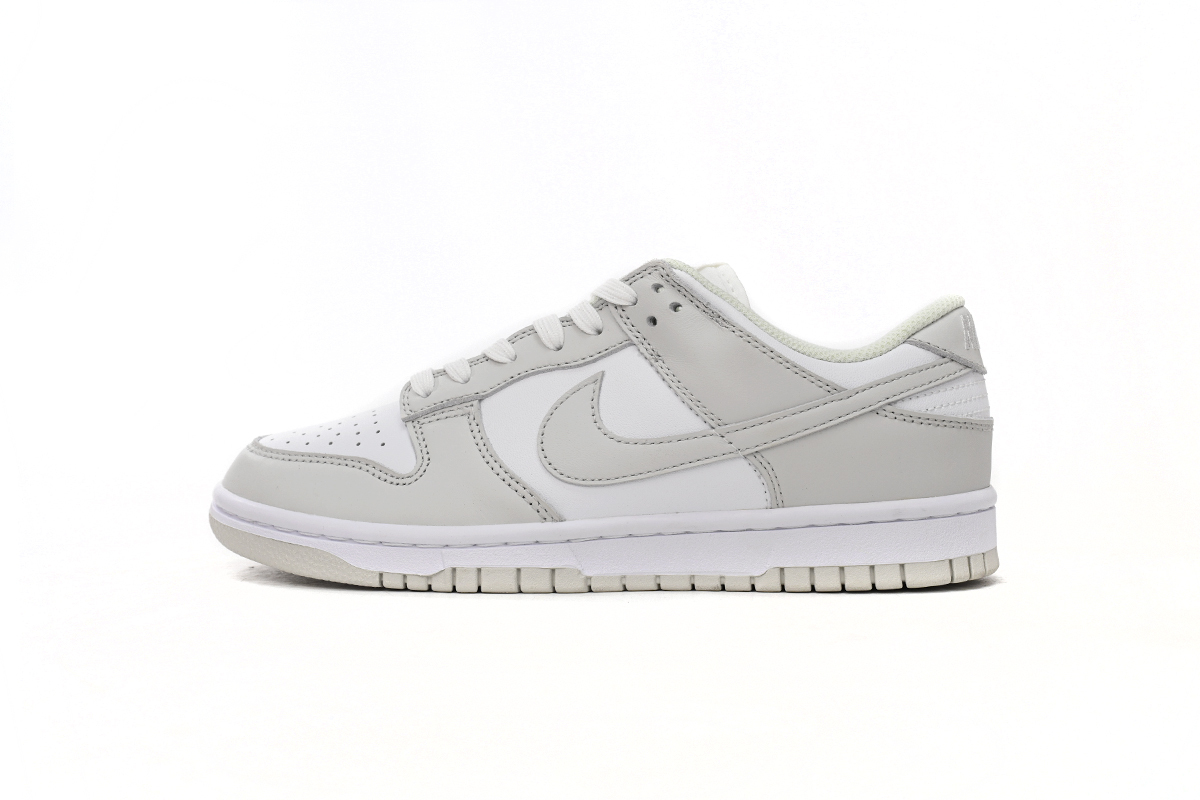 Nike Dunk Low Photon Dust DD1503-103