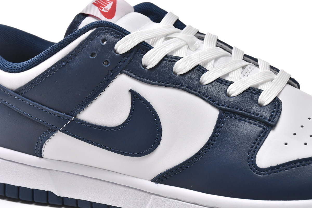 Nike Dunk Low Valerian Blue DD1391-400