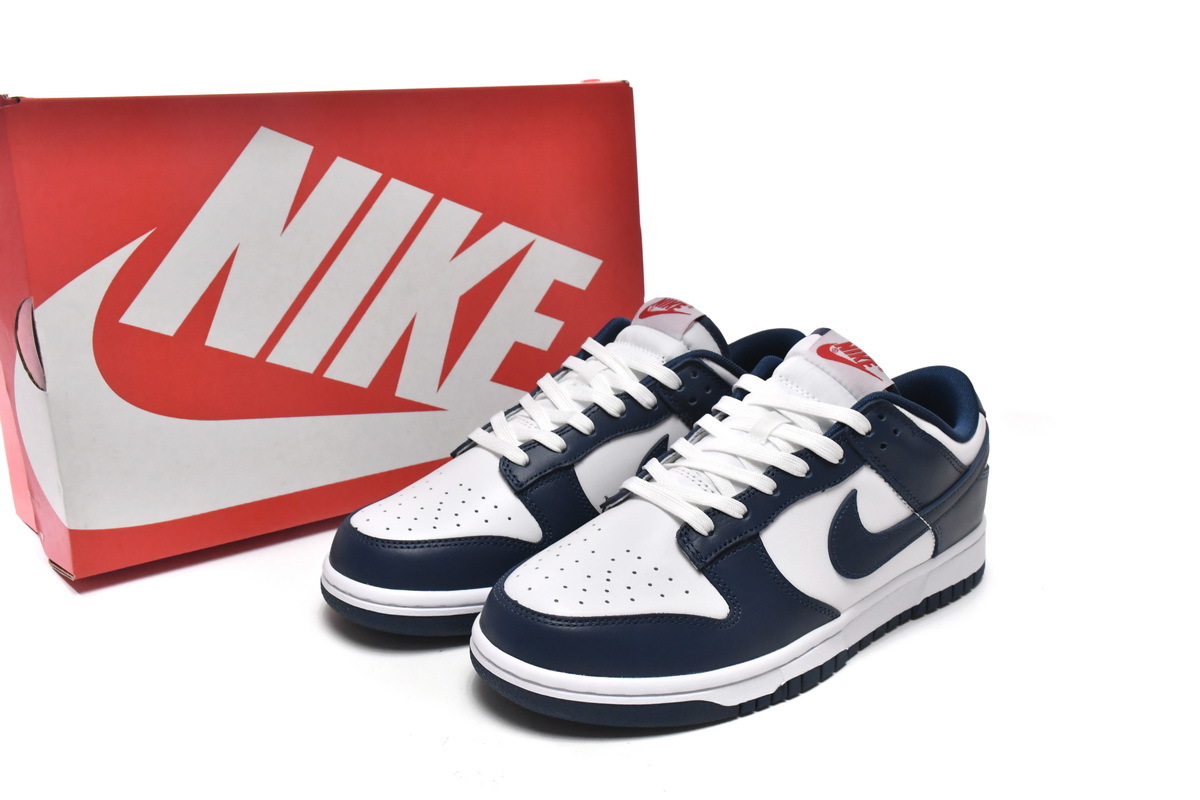 Nike Dunk Low Valerian Blue DD1391-400