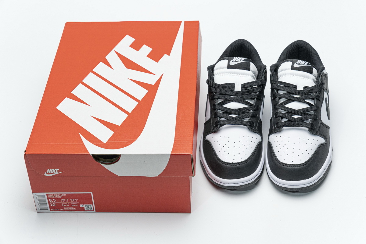 Nike Dunk Low Retro Black DD1503-101