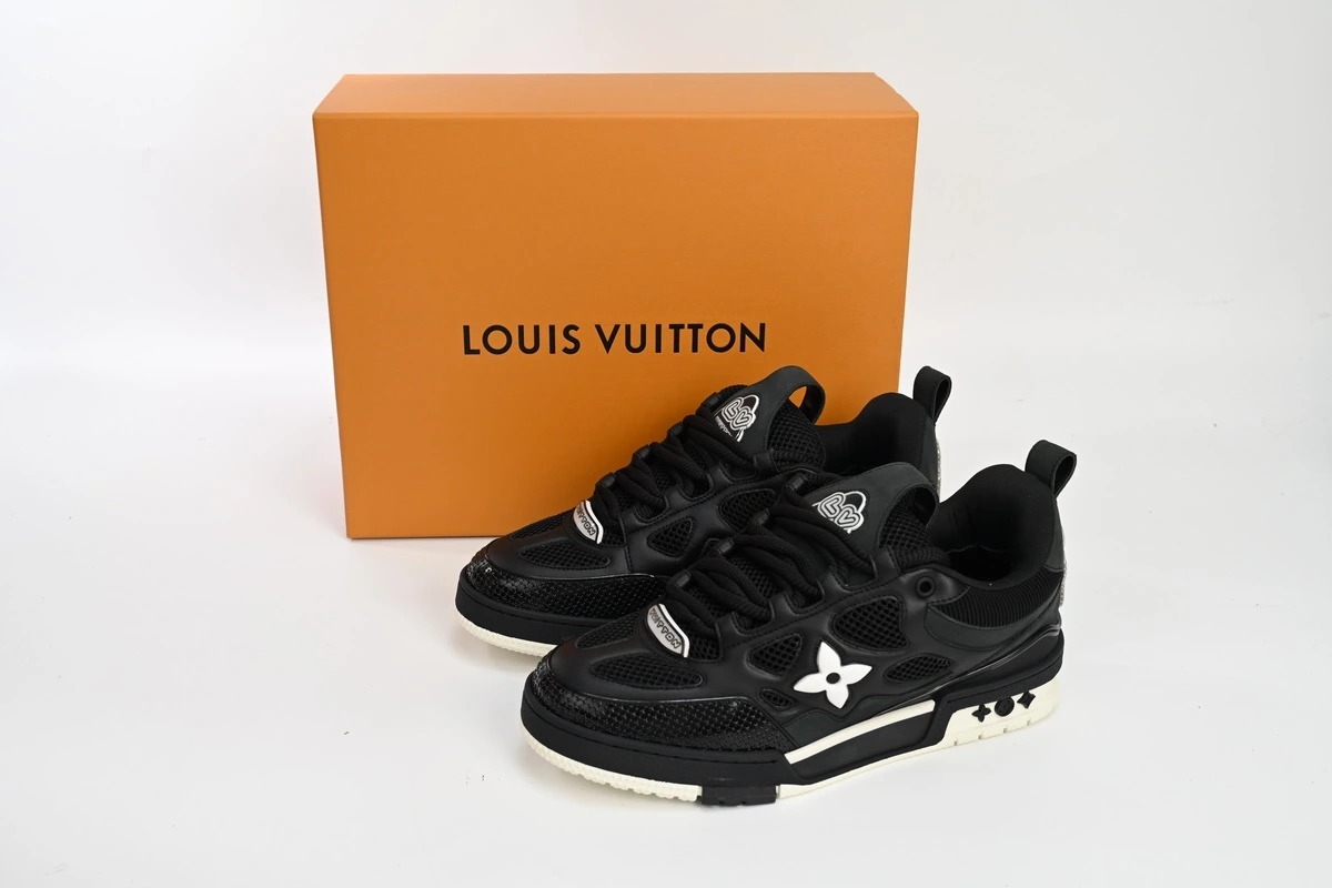 Louis Vuitton Skate Sneaker Black White 1AARR1