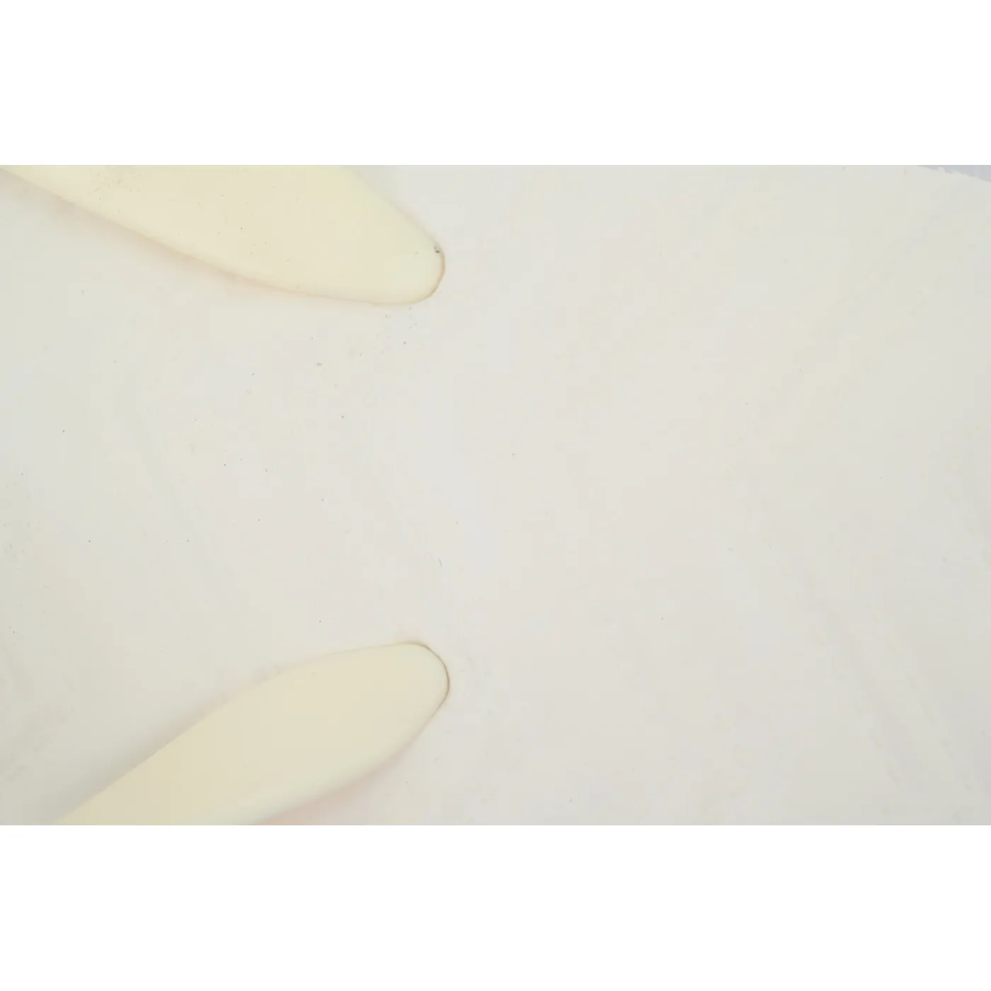 Gucci Double Gucci Rice White
